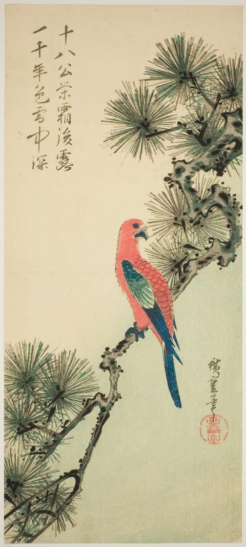 Macaw on a Pine Branch by Utagawa Hiroshige, colour woodblock print